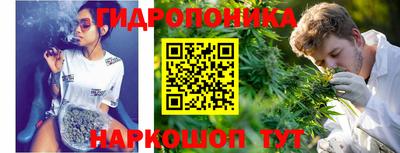 прущие крисы Севастополь