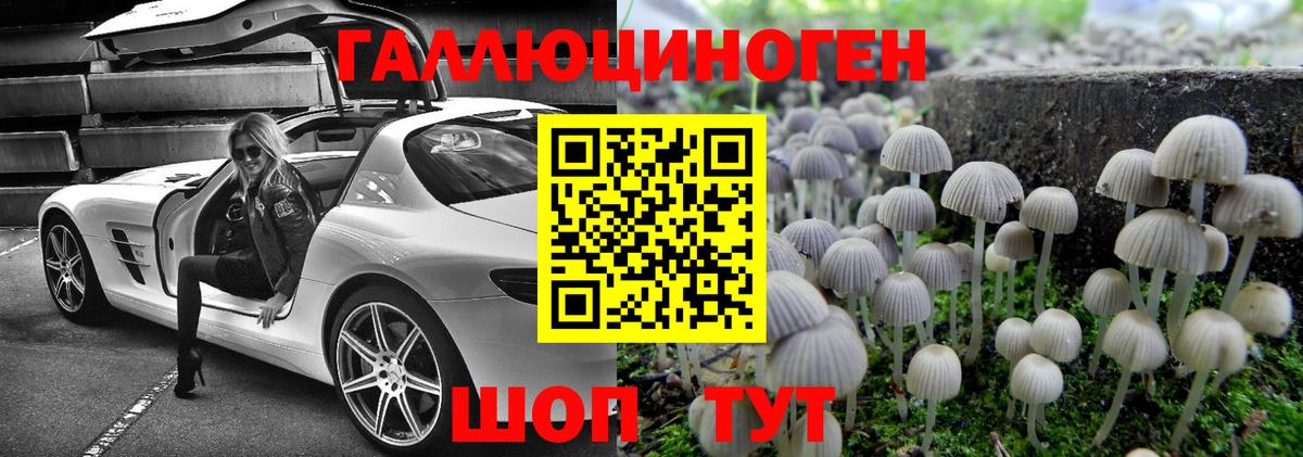Псилоцибиновые грибы Psilocybe Семёнов