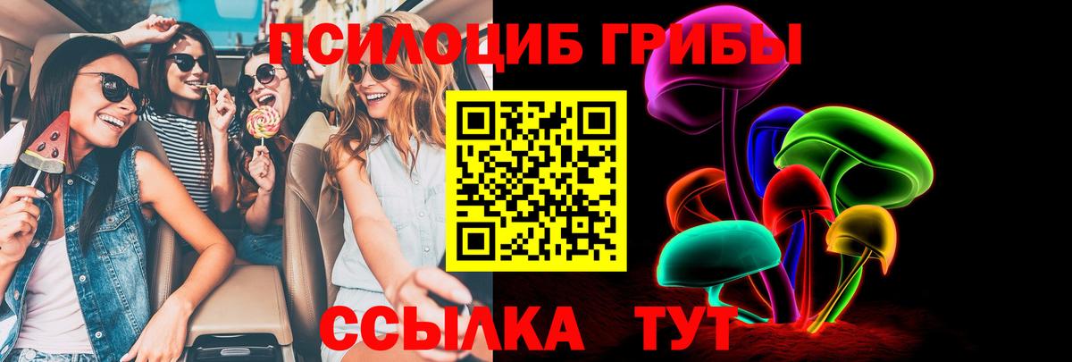 Галлюциногенные грибы Cubensis  Вход с VPN  Семёнов 